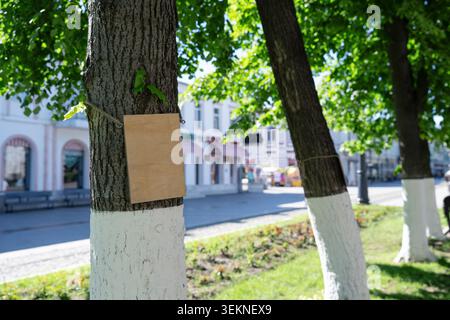 Empty wood plaque attached to a tree with blurred urban street background. Close up of a blank wooden sign on a tree on a sunny summer day. Stock Photo