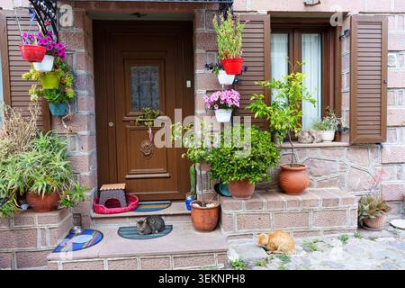 Beautiful wooden front door of a traditional Greek stone home decorated with vibrant flowers and green potted plants while three cute cats rest on the Stock Photo