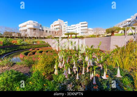 Beautiful Central Garden featuring vibrant flowers, maze pool, and Richard Meier's modern architecture at the Getty Center museum complex in Los Angel Stock Photo