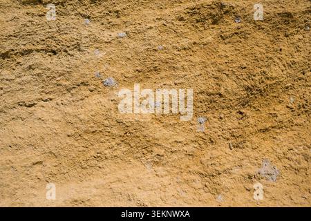 Detailed close-up of limestone surface illuminated by sunlight. Natural stone texture with subtle patterns, perfect for backgrounds and design project Stock Photo