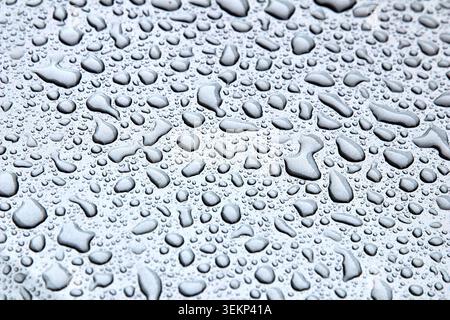 Many clear water droplets of various sizes on a smooth, reflective silver or grey metallic surface, abstract wet background texture. Stock Photo