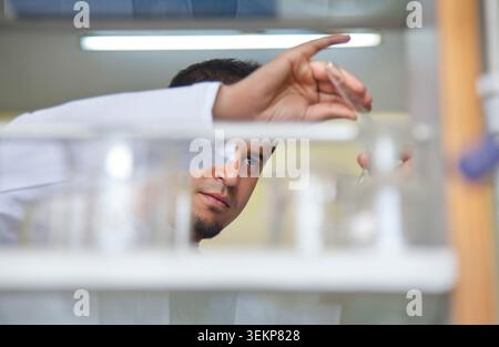 Student pouring liquid Stock Photo