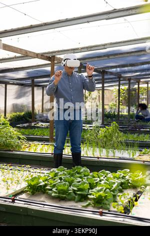 Diverse workers, senior Chinese man wearing VR headset gesturing over greenhouse hydroponic troughs Stock Photo