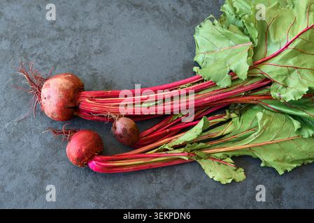 Chard with beetroots. Young beetroot with fresh leaves on dark background Stock Photo