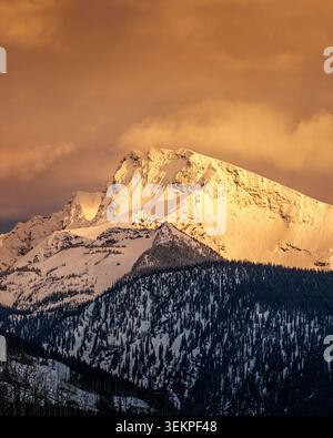 Snow-covered mountain peak reflecting warm golden light from the setting sun over an alpine forest Stock Photo