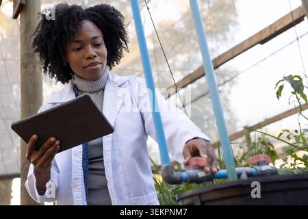 African American woman in lab coat adjusting red valve on PVC pipe holding tablet in greenhouse Stock Photo