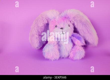 Cute fluffy bunny sitting on a purple background the perfect gift for a loved one celebrating the Easter holidays Stock Photo