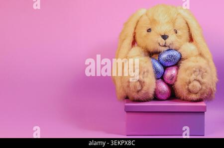 Cute fluffy bunny sitting on a purple box with a row of colourful Easter eggs in front of the box, a special gift for a loved one during the Easter Stock Photo