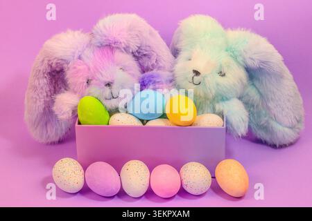Cute fluffy bunnies sitting in a purple box surrounded by vibrant colourful Easter eggs on a purple background Stock Photo