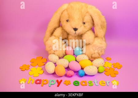 Cute fluffy bunny sitting on a pink background surrounded my vibrant Easter eggs celebrating the Easter holidays Stock Photo