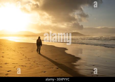 Person walks along the serene Famara Beach in Lanzarote, leaving footprints in the sand. The golden sunset creates a warm, tranquil atmosphere with Stock Photo