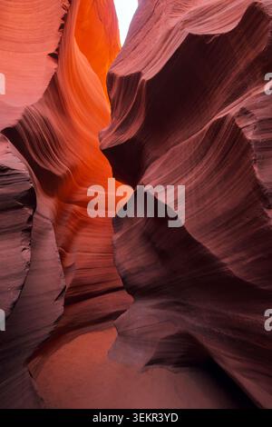 Smooth sandstone walls inside Antelope Canyon, Arizona, USA, with flowing rock formations, natural patterns and soft light in the famous slot canyon Stock Photo