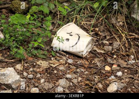 Close-up of a discarded fast-food paper cup with a sad face drawn on it, lying as harmful trash on the natural forest floor. Stock Photo