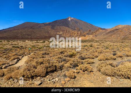 View of Mount Teide rising above volcanic plains and native vegetation in Teide National Park, Tenerife, Spain. Stock Photo