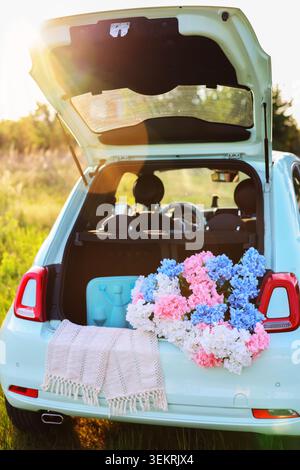 Blooming pink, blue and white hydrangeas arranged in the trunk of a vintage-style compact car, perfect for lifestyle, wedding and seasonal themes Stock Photo