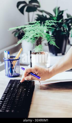 A hand types on a keyboard. Green living plants add a fresh touch. The scene is conducive to calm, focused work or creative writing. Ideal for the off Stock Photo