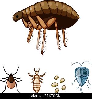Parasites, insects, ticks and their larvae collection Stock Vector
