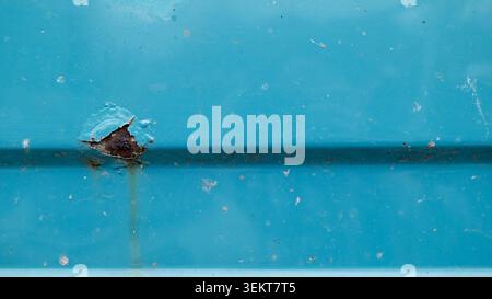 Rust hole on blue metal surface Stock Photo
