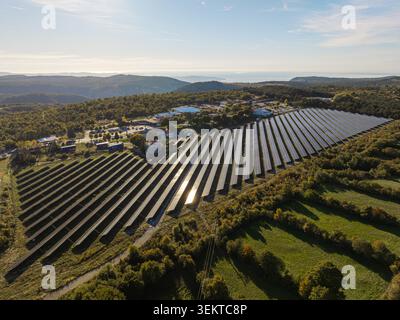 Solar farm operates with photovoltaic panels reflecting sunlight for clean energy production in an open area surrounded by trees. Stock Photo