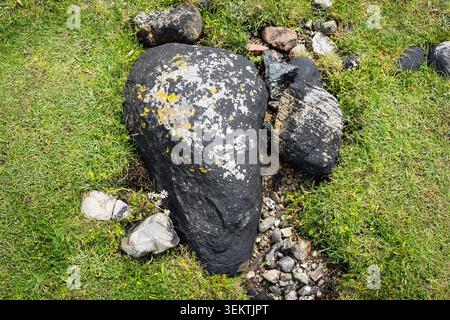Top view of black stone covered with orange lichen among green grass and pebbles Stock Photo