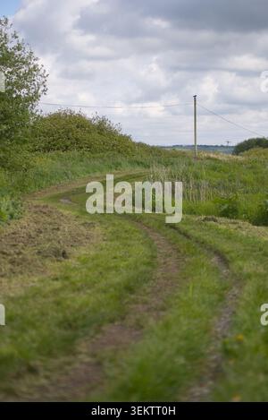 Wide angle perspective of a curving twin track dirt road and grassy greenway trail cutting through an open meadow hill in the countryside Stock Photo