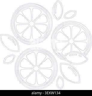 Vector illustration of sliced citrus fruits isolated on white background Stock Vector