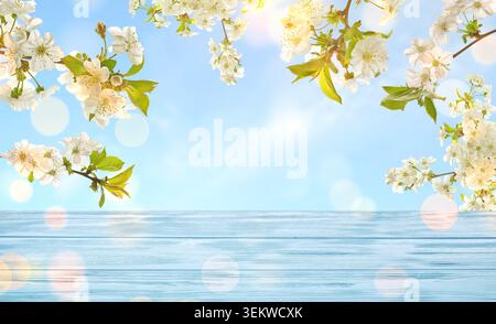Wooden table and blooming spring branches against blue sky Stock Photo