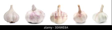 Five whole garlic bulbs isolated on white background, fresh organic garlic heads in a row, healthy cooking ingredient, natural seasoning, kitchen food Stock Photo