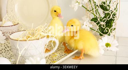 Two cute yellow ducklings standing among white flowers, eggs, straw and vintage cups in bright spring Easter decoration Stock Photo