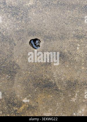 A top-down shot of a weathered, textured concrete surface featuring a single small pothole filled with dark rainwater, showing signs of wear, erosion, Stock Photo