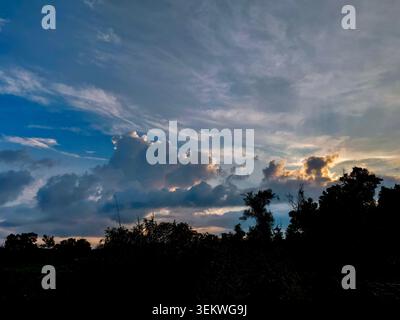 A breathtaking evening sky filled with dramatic blue and golden cumulus clouds during sunset, casting a dark silhouette over a natural landscape of de Stock Photo