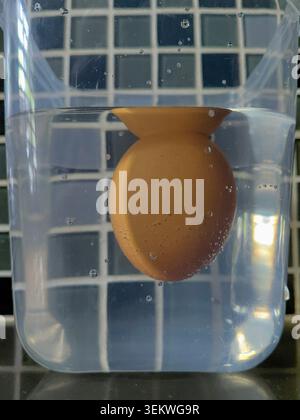 A clear close-up shot showing a brown chicken egg floating vertically in a plastic water container to test its freshness, set against a dark mosaic ki Stock Photo
