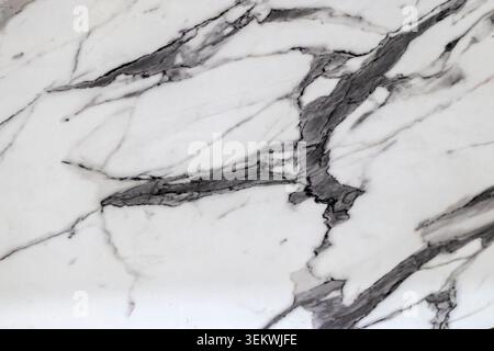 Close-up view of a high-quality white marble surface featuring an intricate network of bold, dark grey and black veins. This elegant and luxurious sto Stock Photo