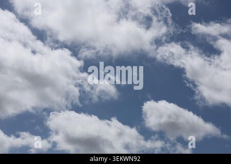 Fluffy White Clouds Against Deep Blue Sky Background. Large fluffy clouds scattered across a bright blue sky creating a picturesque summer atmosphere. Stock Photo