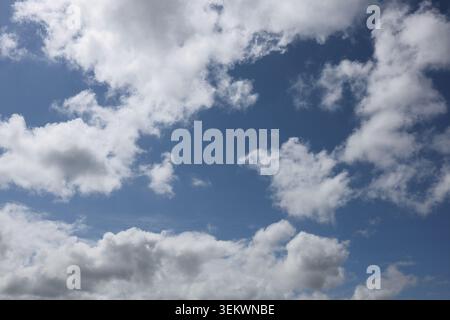Bright Blue Sky with Large White Cumulus Clouds. sky filled with large white cumulus clouds illuminated by sunlight. Stock Photo