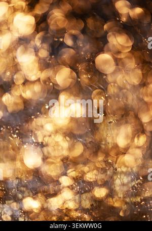 Golden modern backdrop in reflective texture. Golden sparkling gold foil on wallpaper. Golden abstract pattern for jewelry. Golden shimmering surface. Stock Photo