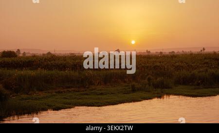 Golden hour sun setting over green farmlands along the nile river in cairo Stock Photo