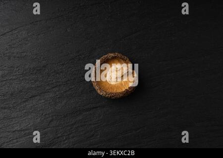 One Dry Shiitake Mushroom, Raw Shitake, Healthy Organic Asian Fungi, Common Chinese Edible Mushroom on Black Background Top View Stock Photo