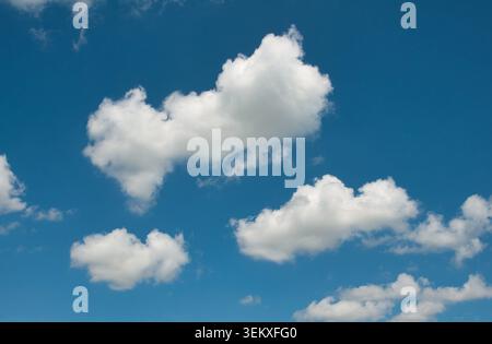 Fluffy white cumulus clouds floating in bright blue clear summer sky Stock Photo