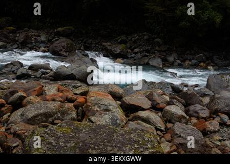 A wild river with clear, blue-green water flows over mossy boulders and rapids through a dark, lush forest. Stock Photo