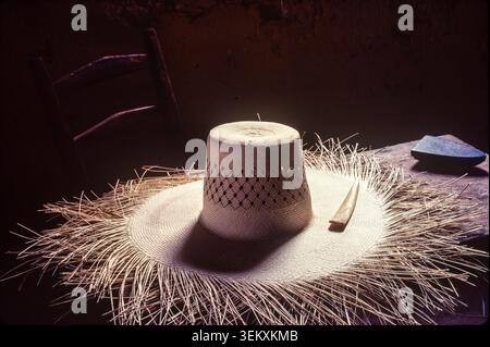 Weaving a traditional, Sombrero de Junco from  wild junco grass reeds in Santa Barbara, Honduras. Stock Photo