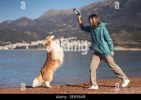A woman encourages her dog to jump by raising her hand on a beach. The Border Collie leaps vertically on the sandy shore by the water. Stock Photo