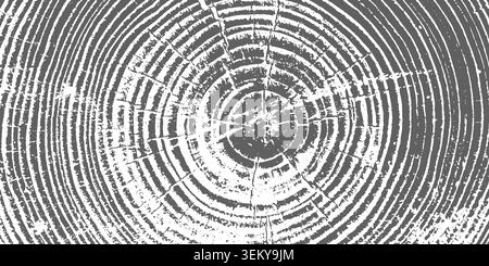 Tree ring pattern showcasing natural wooden texture vector illustration background. Stock Vector