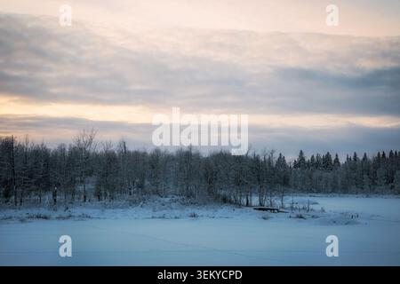 Winter scene showing a snowy forest, frozen lake, and cloudy sky at dawn Stock Photo