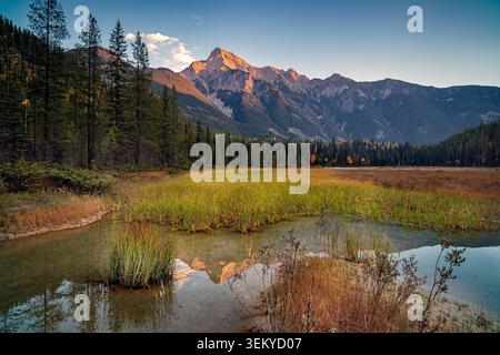 Mountain range bathed in golden light reflecting in a tranquil marsh and forest landscape Stock Photo