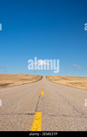 Empty asphalt road leading through golden prairie fields under a clear blue sky, Alberta, Canada Stock Photo