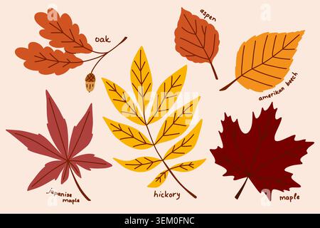 American autumn leaves collection, botanical clip art with hand drawn plants and tree branches in yellow and red Stock Vector