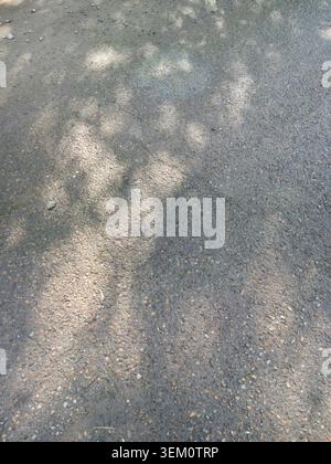 Asphalt Pavement Showing Dappled Sunlight Patches And Textured Surface On Outdoor Path With Scattered Pebbles And Gravel Under Daytime Tree Shade In Urban Park Setting. Stock Photo
