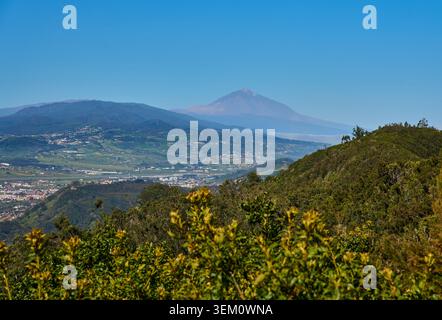 Panoramic view from Anaga forest over La Laguna city toward Pico del Teide rising above the clouds in the distance, Tenerife Stock Photo
