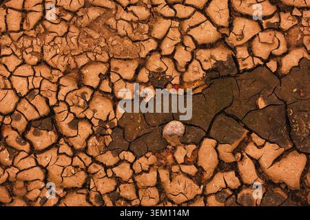 Cracked Earth. An arid landscape with cracked, dry earth patterns in a warm orange hue Stock Photo
